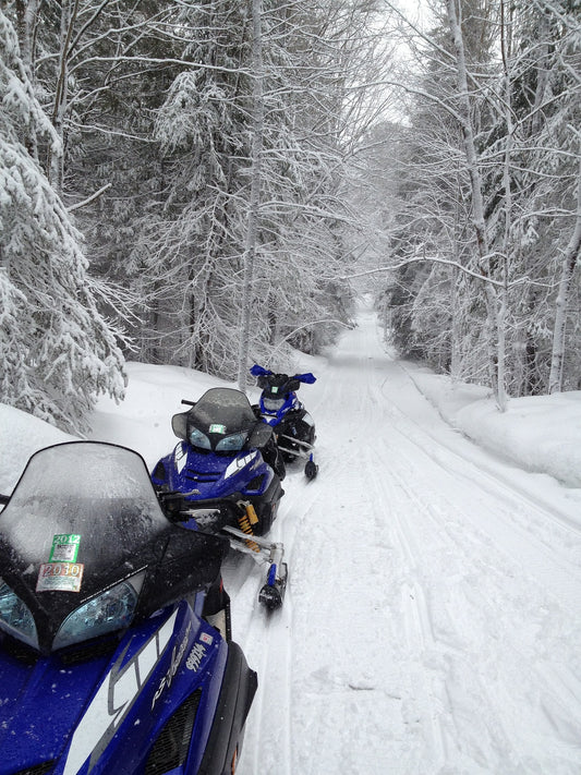 How to respect the environment and avoid damaging natural habitats while snowmobiling
